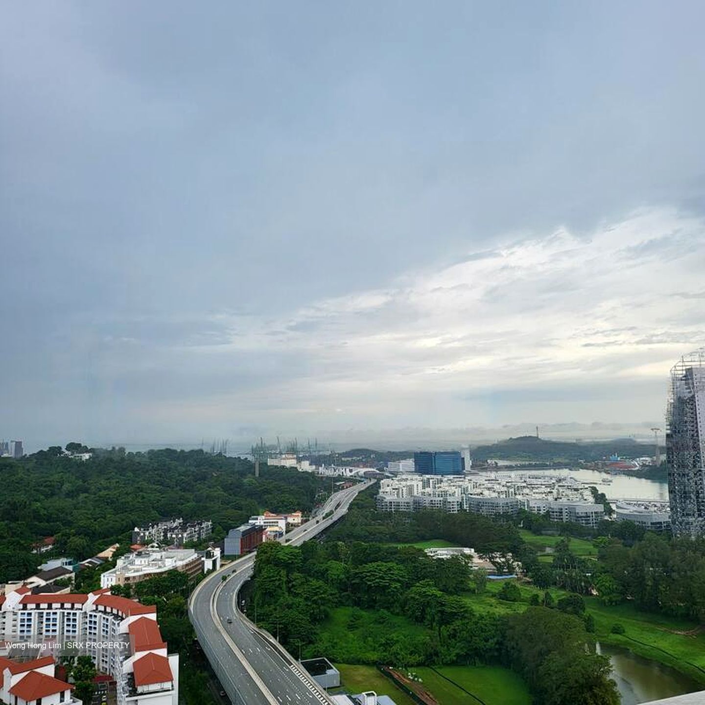 Skyline Residences (D4), Condominium #470416531
